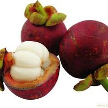 新鮮蔬菜 營養、選擇與保鮮之道