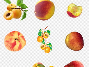 新鮮水蜜桃 美味與設(shè)計的完美結(jié)合