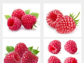 多種水果高清大圖與設(shè)計(jì)素材集合，附飲品美食大全與新鮮蔬菜資源